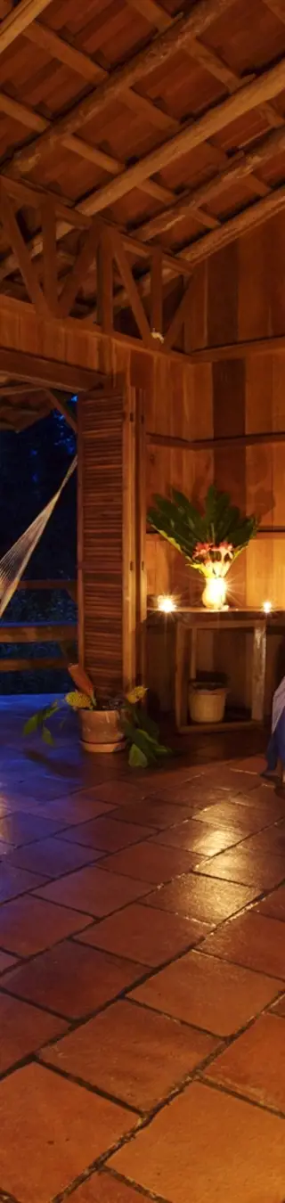 Erlebe Natur pur in der Selva Bananito Lodge